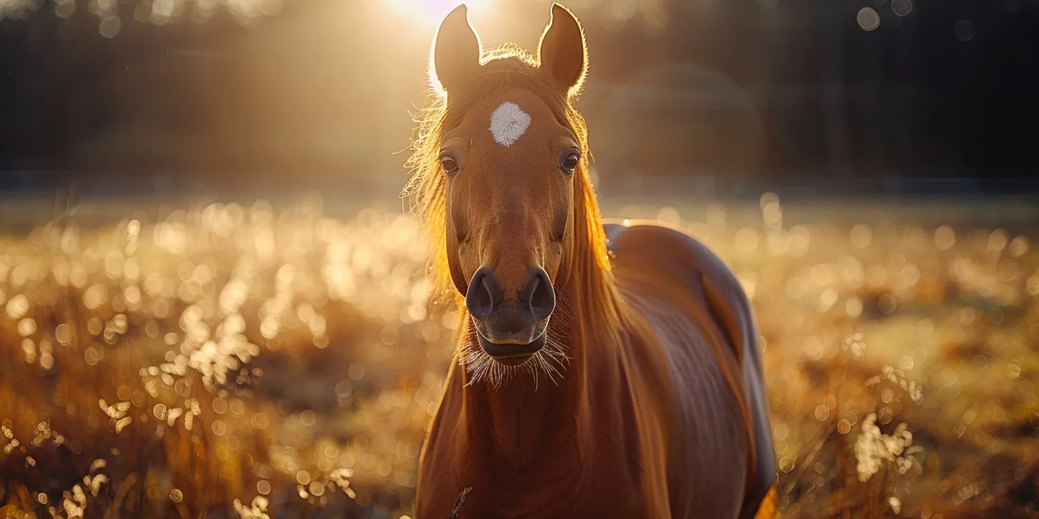Ile kosztuje trawa z rolki?