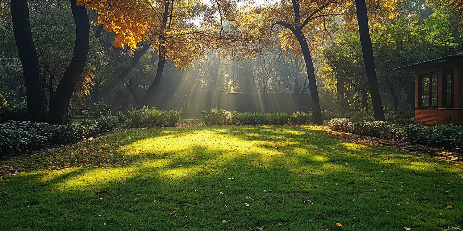 Trawa w rolkach Szczecin
