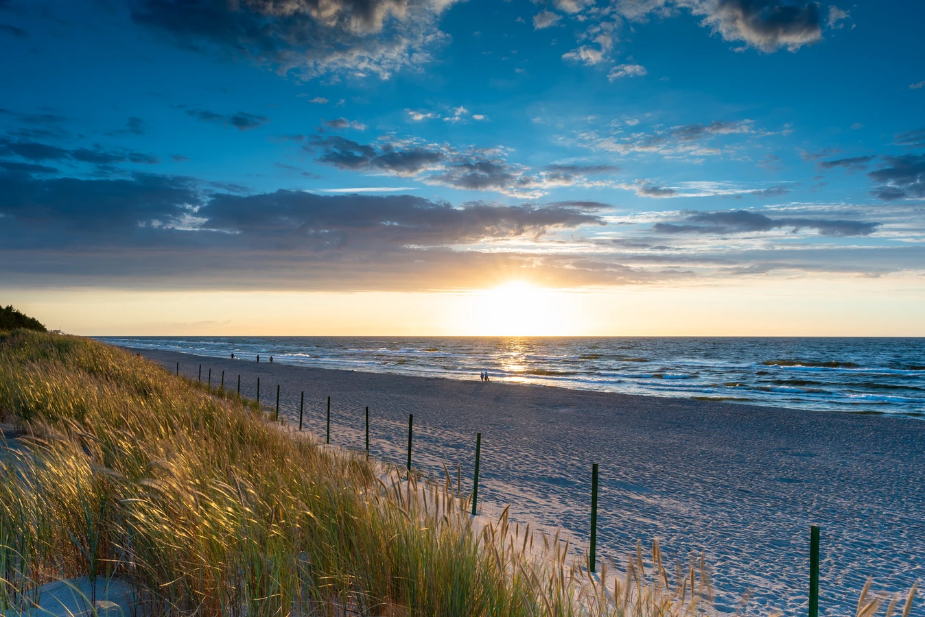 Trawa z rolki ile kosztuje?