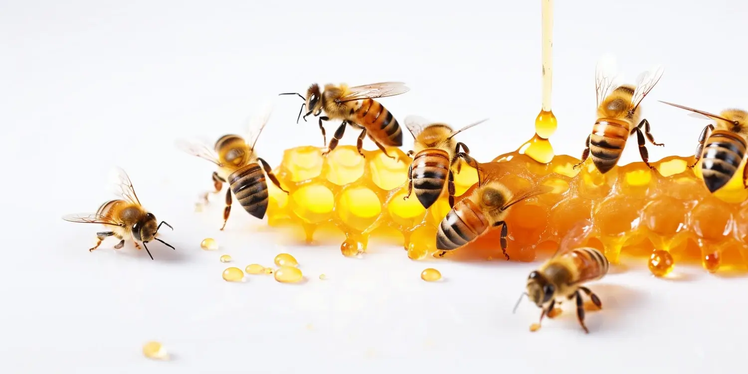 Miód malinowy w kuchni