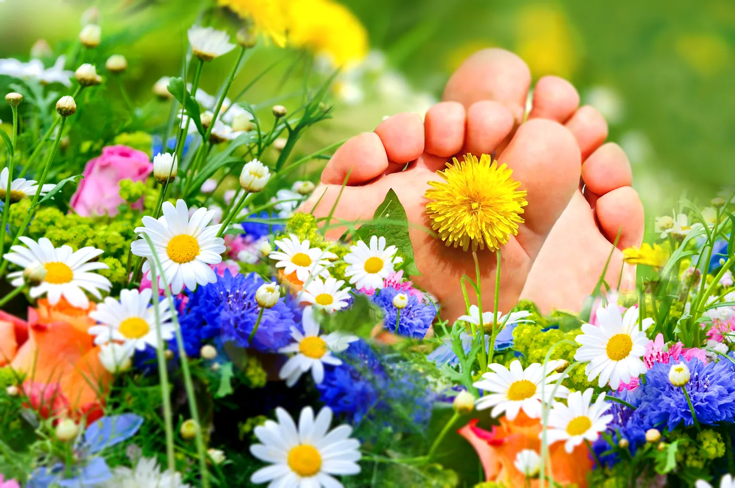 Co to jest podologia i jakie zadania ma podolog?